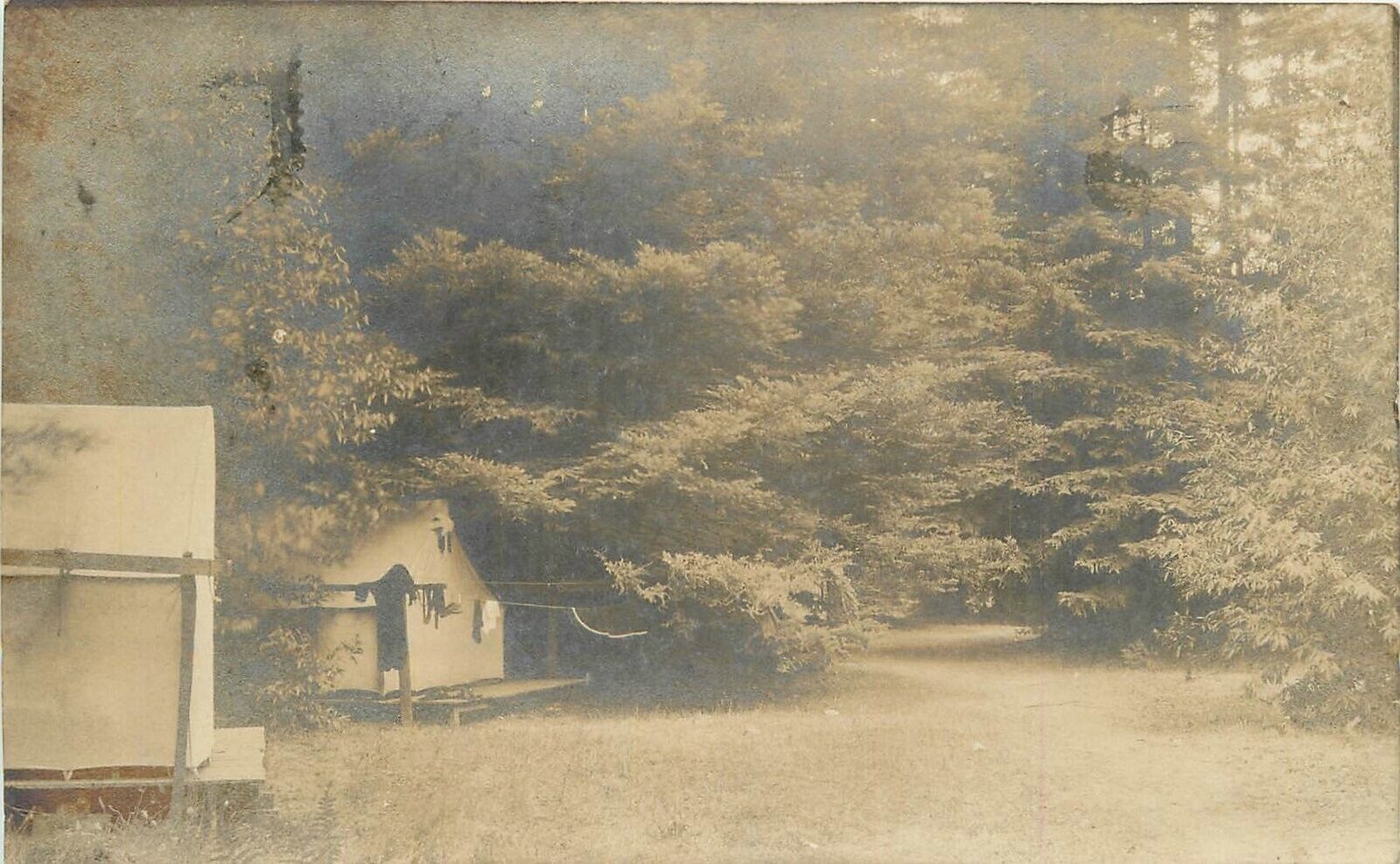 Postcard RPPC 1908 California Guerneville Sonoma forest camp 23-13169