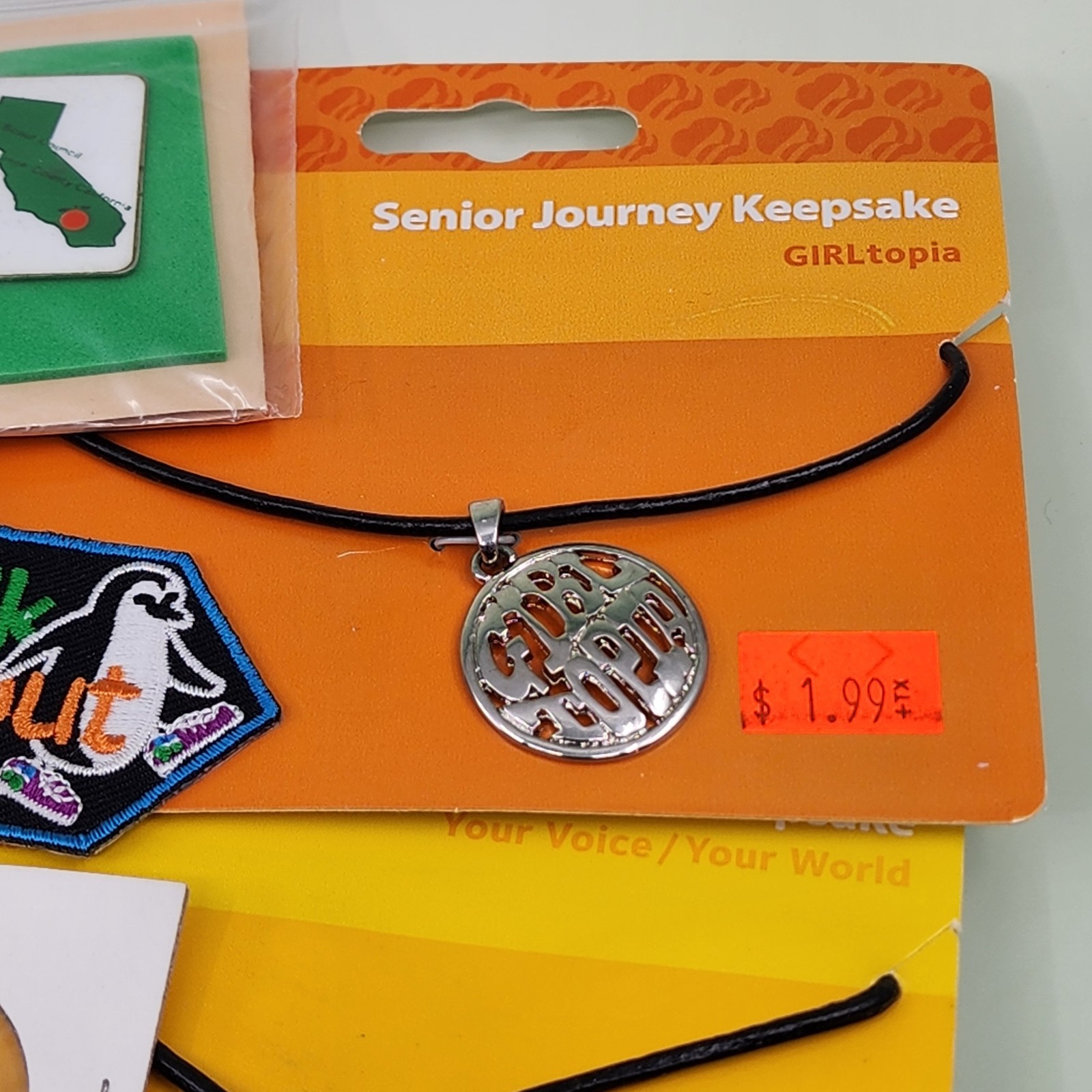 Girl Scouts Memorabilia Lot Patches Pins Necklaces Froggie Camping GIRLtopia