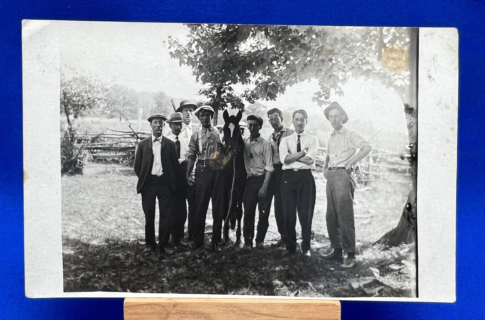 RPPC Men With Horse Vintage Photo Postcard Unposted 1906-1915