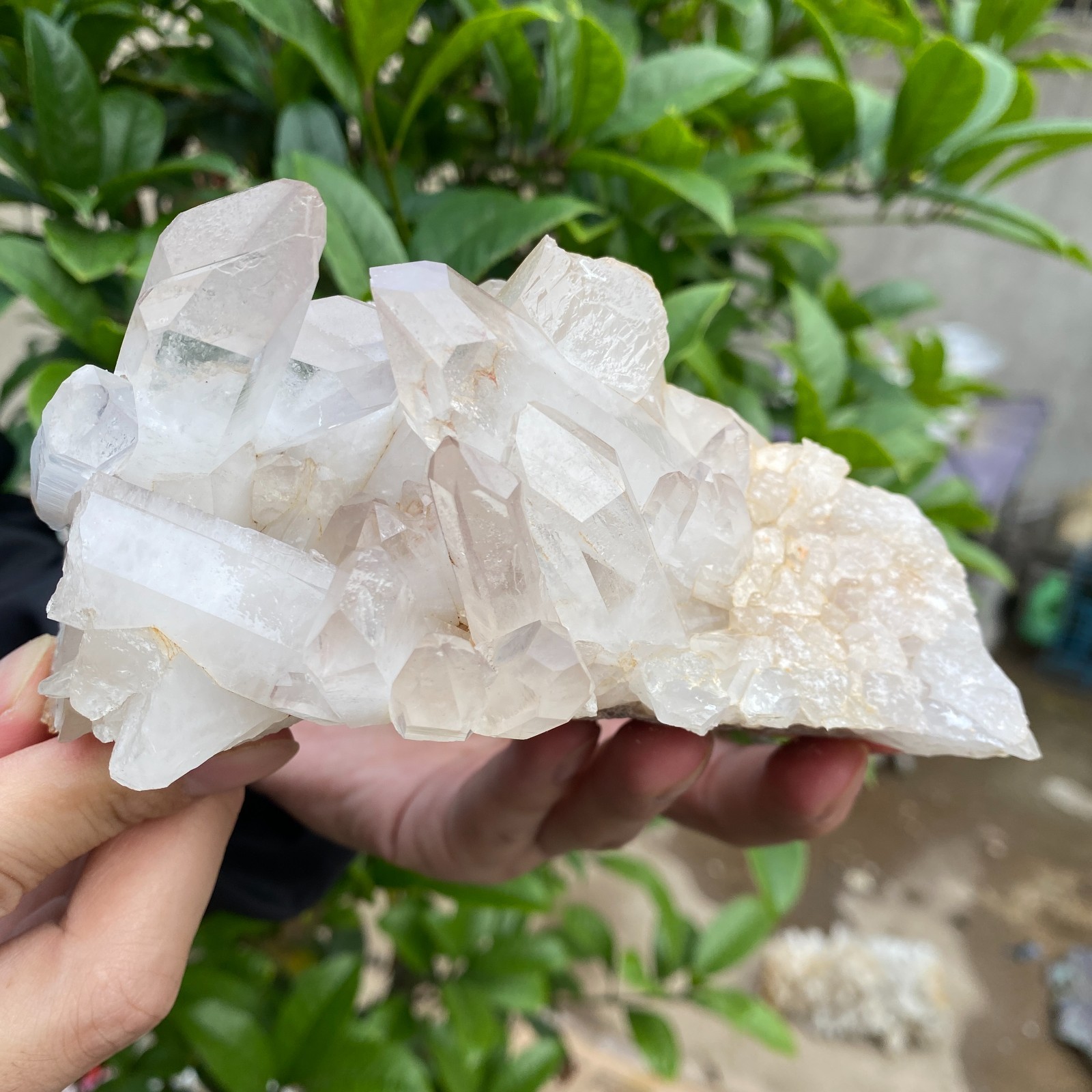 710G  Natural clear white quartz crystal cluster mineral specimen healing
