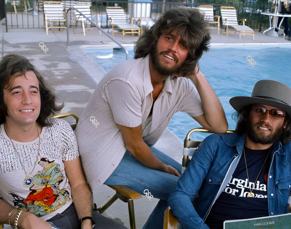 THE BEE GEES - 8\ THE BEE GEES - 8\