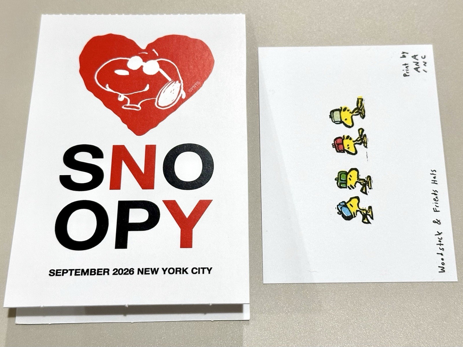 SNOOPY IN STYLE NYC 2026 - ANA INCIARDI PRINT - Woodstock & Friends Hat- LIMITED