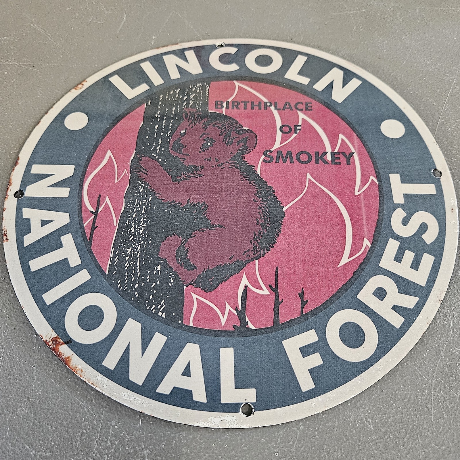 VINTAGE LINCOLN NATIONAL FOREST 12\