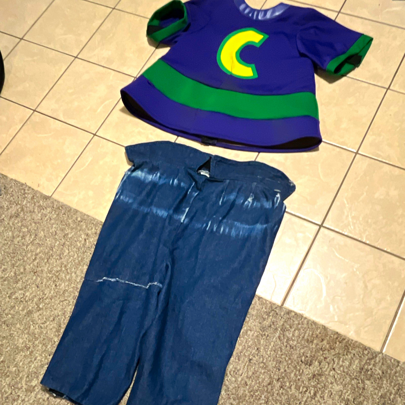 Chuck E. Cheese Studio C Animatronic Outfit (SEE PHOTOS AND DESCRIPTION)
