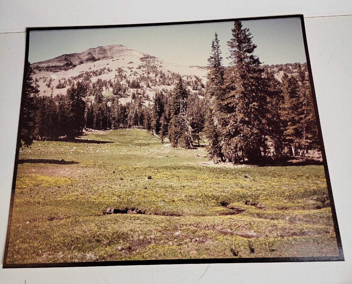 Vintage 1970s Photograph Photo Picture Color VTG Oregon Strawberry Mountain