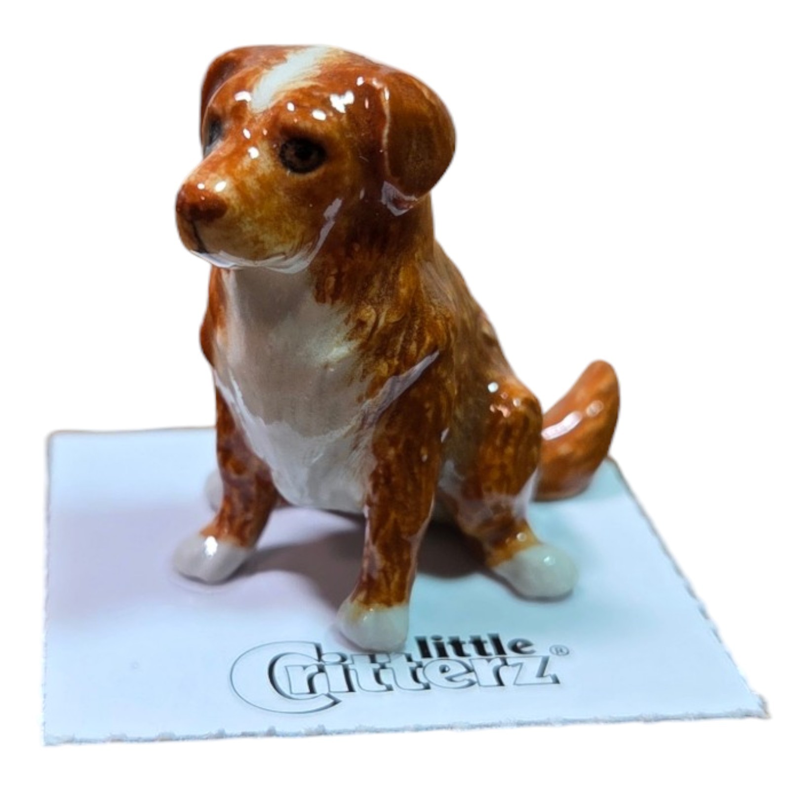 LITTLE CRITTERZ Dog Nova Scotia Duck Tolling Retriever 