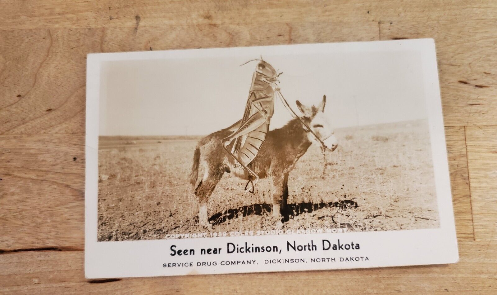 GIANT GRASSHOPPER RIDING A MULE: 1939 SERVICE DRUG CO. POSTMARKED: F+