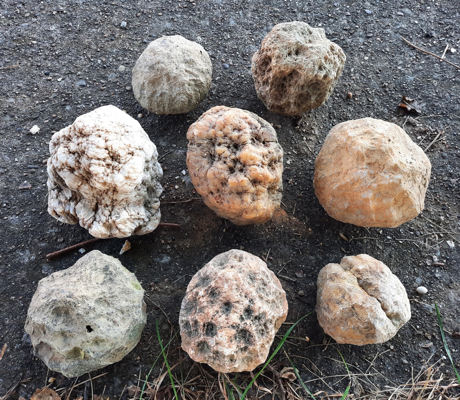 10 Lbs Bulk Lot Unopened Geodes/Nodules Natural Semi Solid-Break Your Own Geodes 10 Lbs Bulk Lot Unopened Geodes/Nodules Natural Semi Solid-Break Your Own Geodes