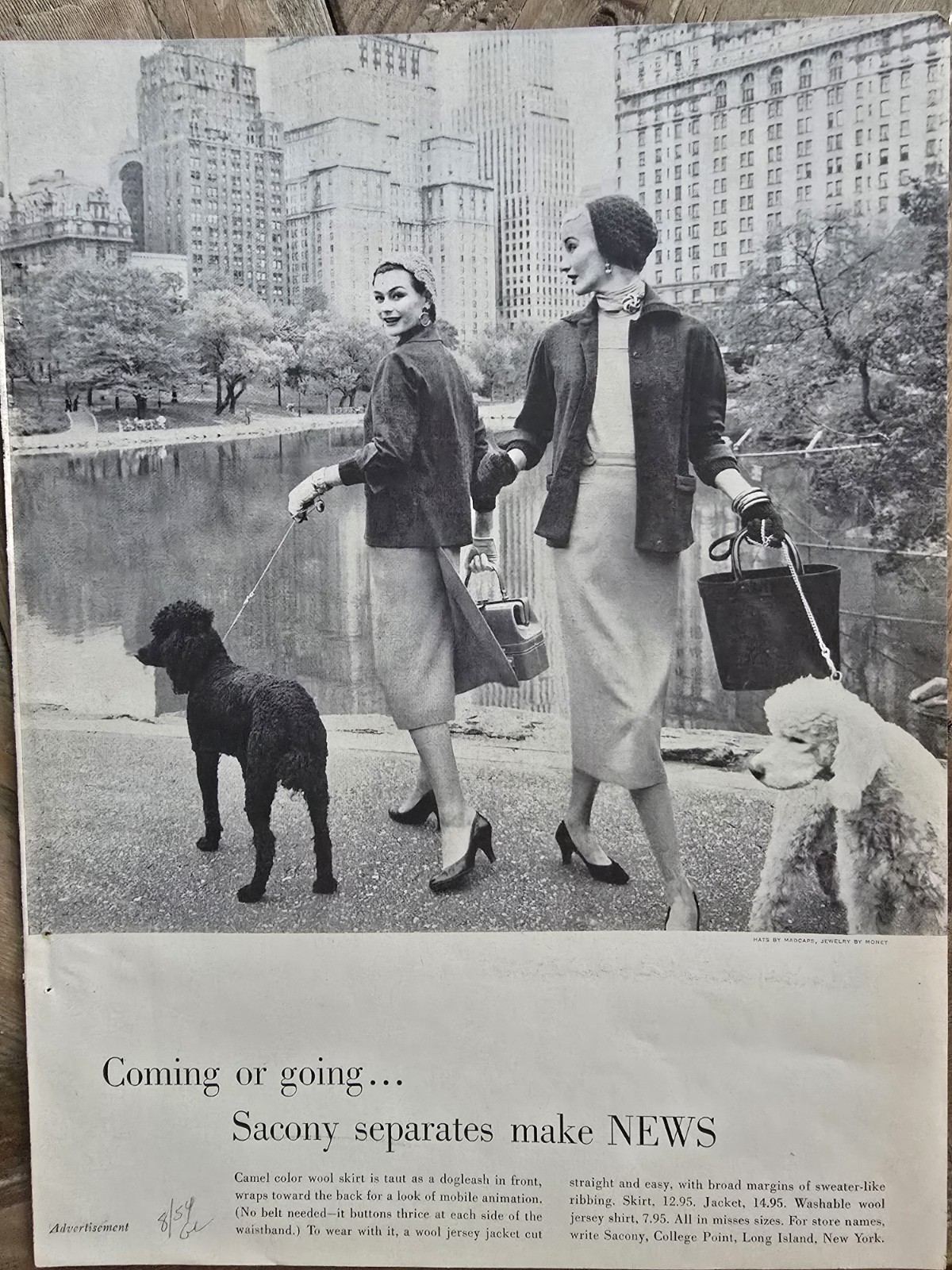1954 Women\'s Sacony Separates Poodle Dog Photo Vintage Fashion Ad