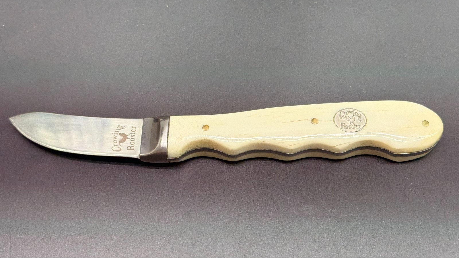 Crowing Rooster Fixed Blade Hunting Knife Bone Handle Leather Sheath Box