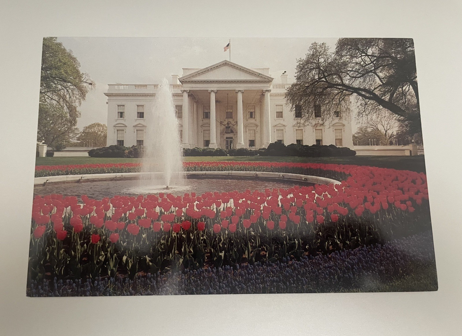 White House Postcard Set, Vintage 1981 & 1984, Full Set of 16-Excellent & Unused White House Postcard Set, Vintage 1981 & 1984, Full Set of 16-Excellent & Unused