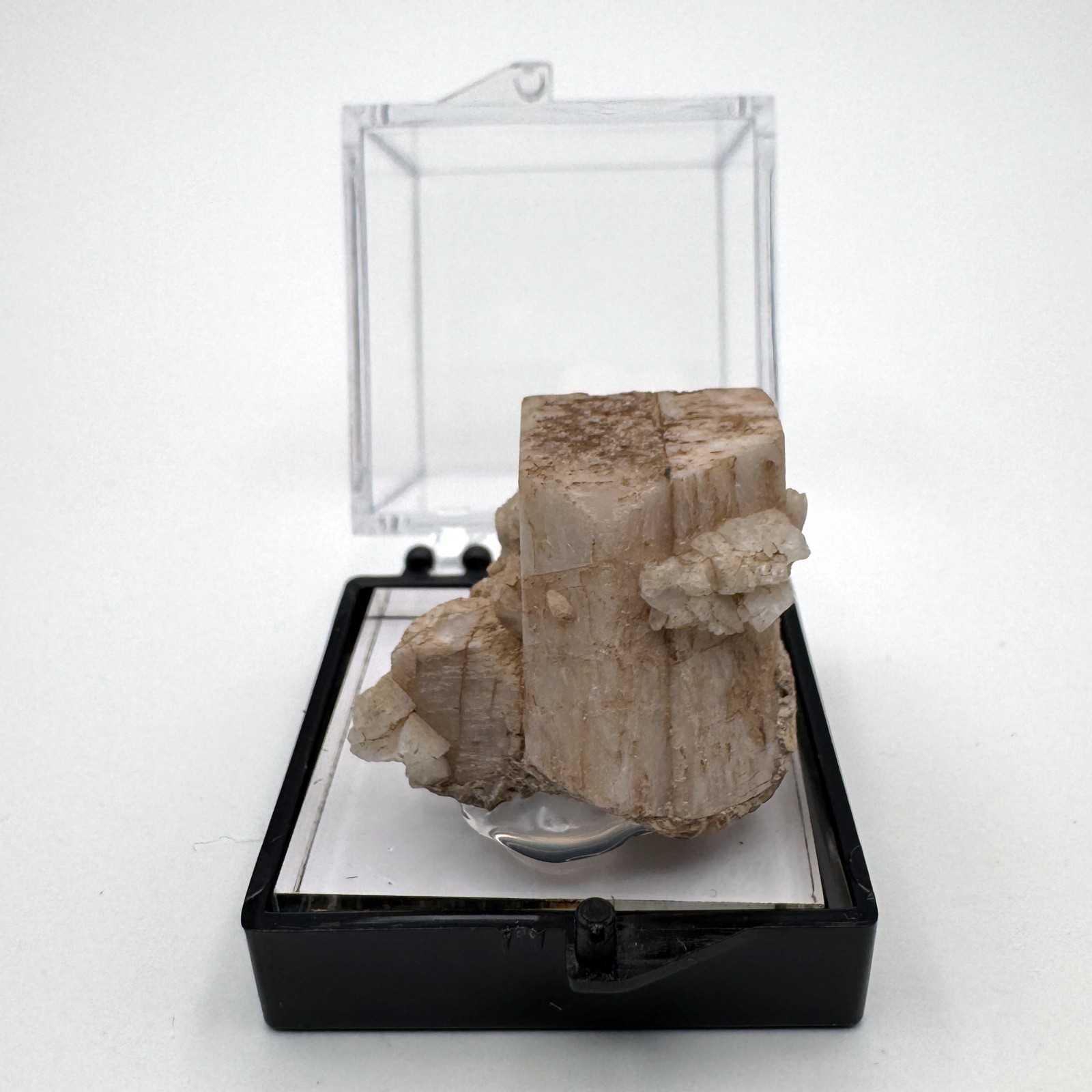 Microcline (Carlsbad Twin) from Mt. Antero, Colorado - Fine Mineral Specimen