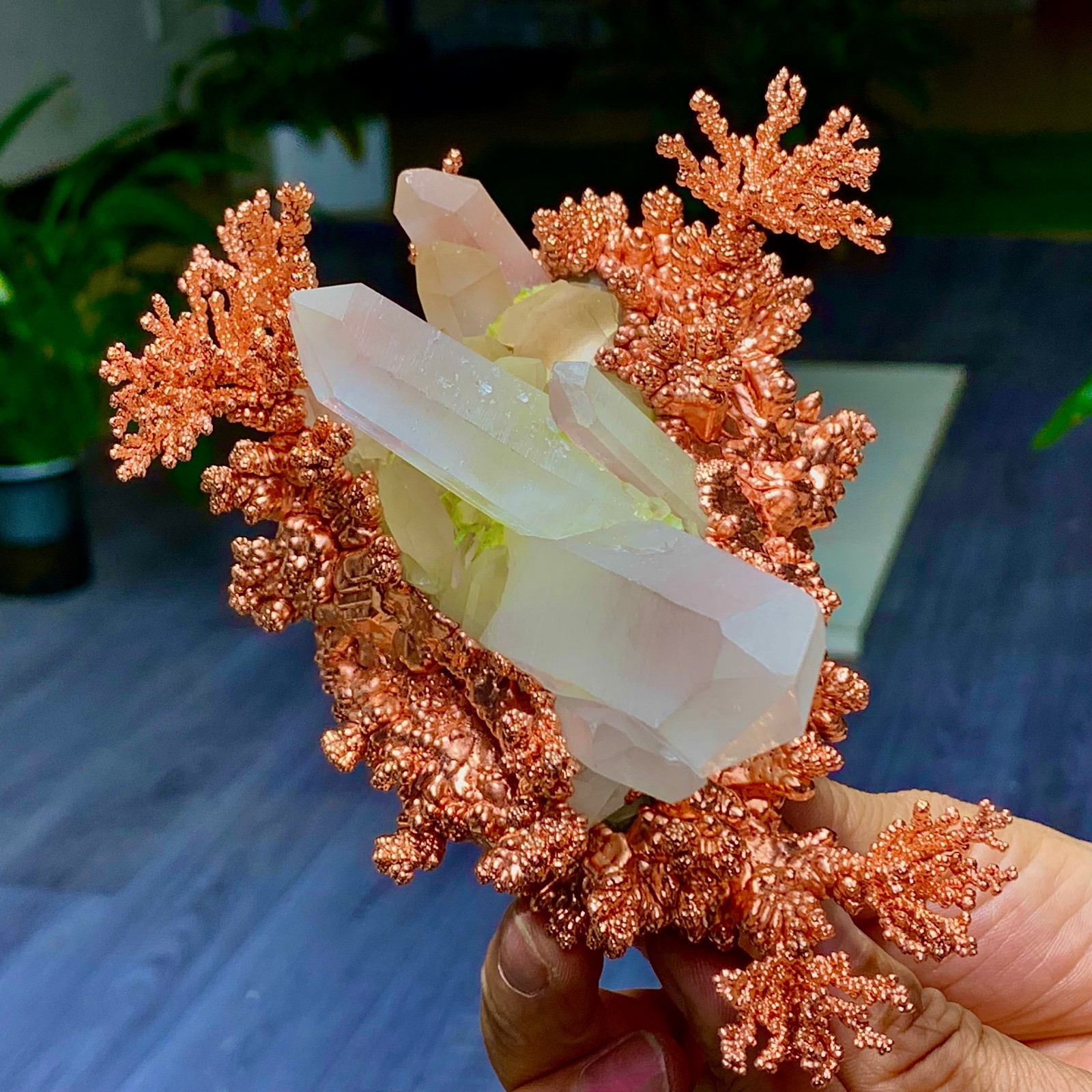 1.5LB Rare iridescent Natural Copper + white quartz crystal mineral-symbiosis