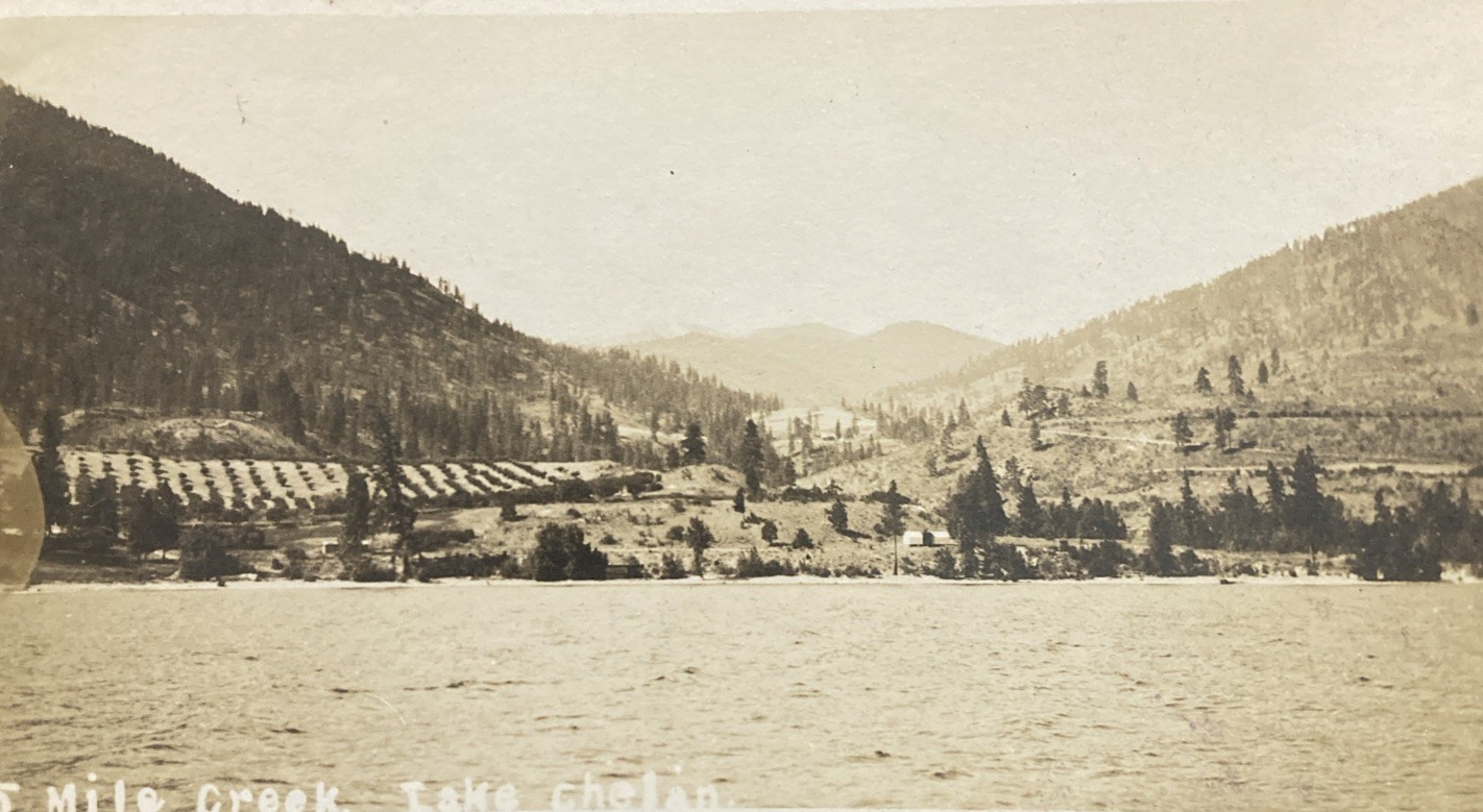 c1910 Lake Chalen 25 Mile Creek View Washington RPPC Postcard