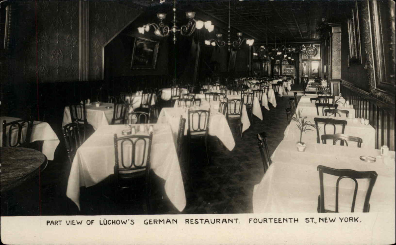 NEW YORK CITY NYC NY Luchow\'s German Restaurant DINING ROOM RPPC