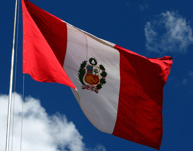 Giant Flag Of Peru Bandera Gigante De Peru CONMEBOL Copa America