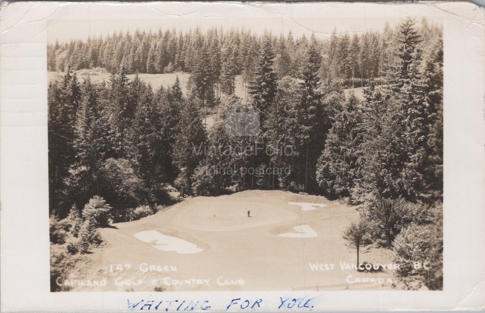 Capilano Golf Country Club 14th Green West Vancouver BC RPPC 1950 Postcard