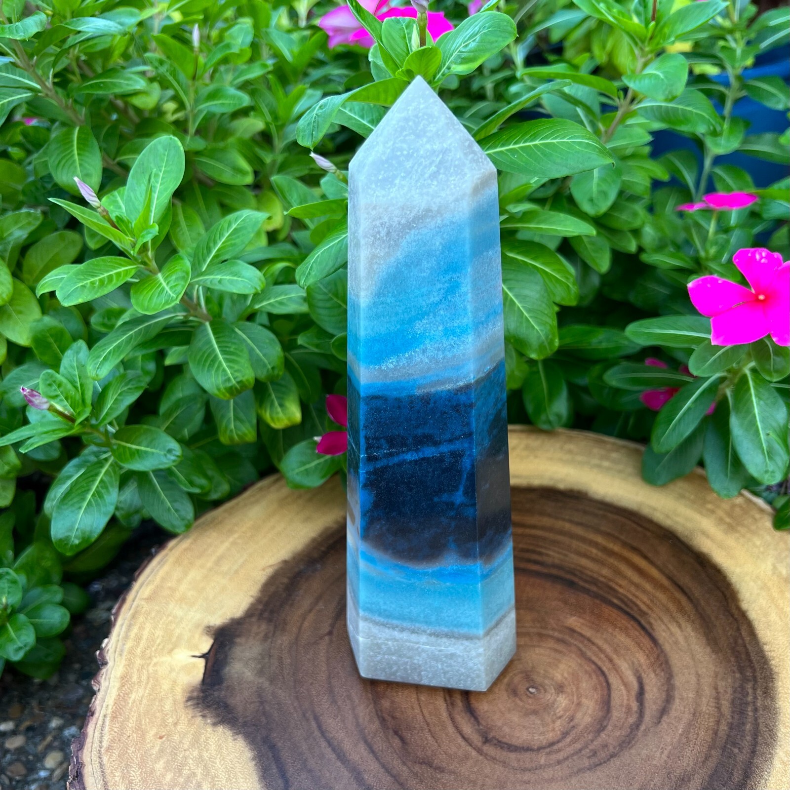 Trolleite Obelisk Tower High Quality Ascension Stone 2.1lbs