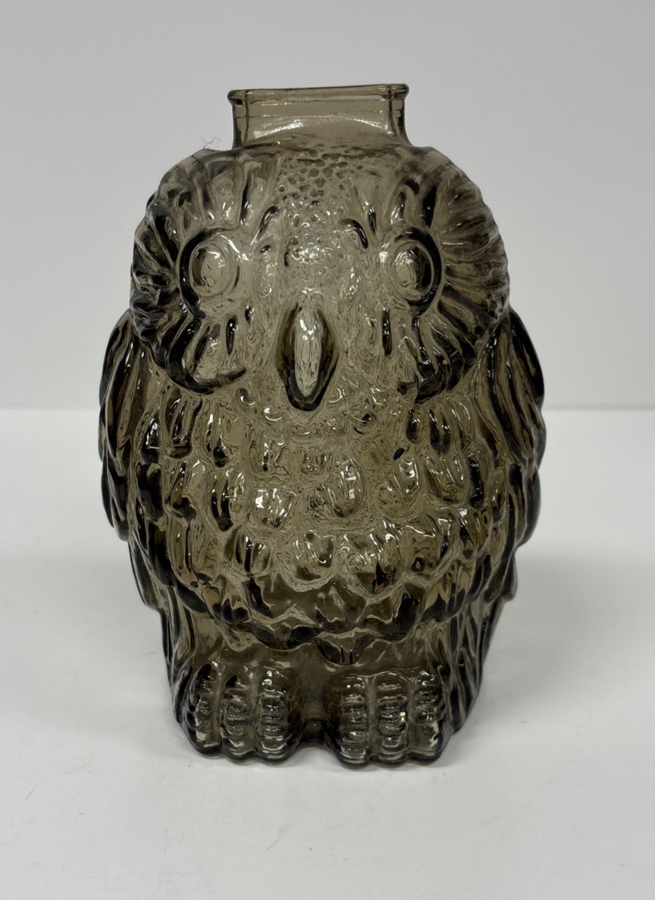 Wise Old Owl Clear Glass Piggy Bank