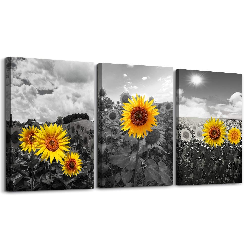 Canvas Wall Art Black and White Sunflower 16x24 3 Piece