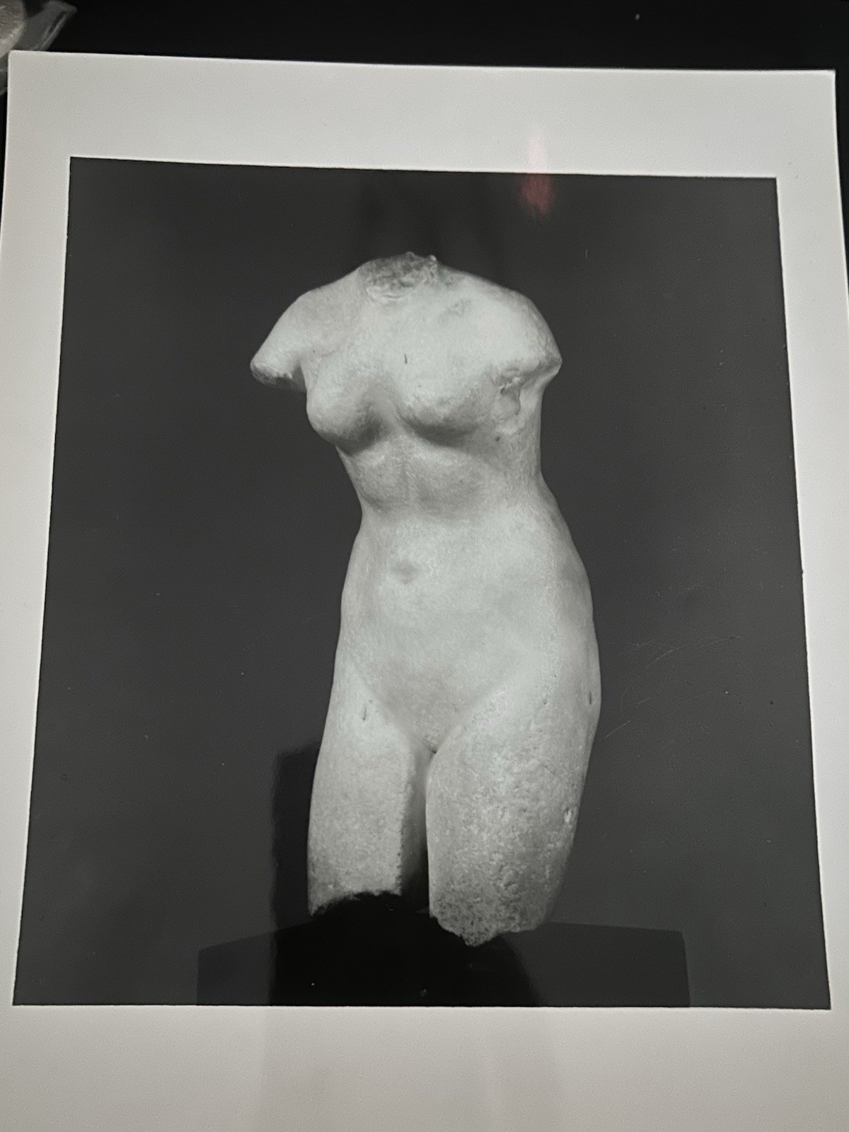 Vintage O.E. Nelson Photo Greek Aphrodite Torso Pomerance Collection Brooklyn