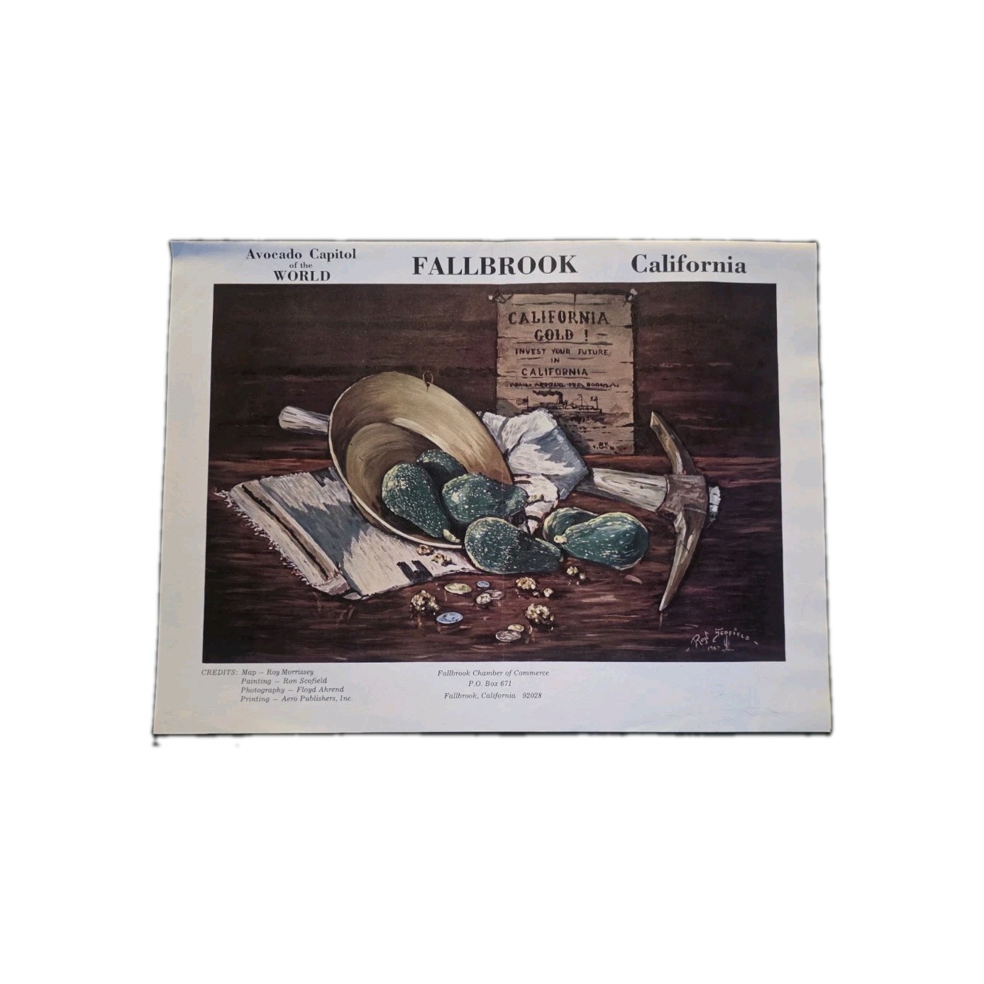 Fallbrook Vintage Flyer 1974 ? Art Print