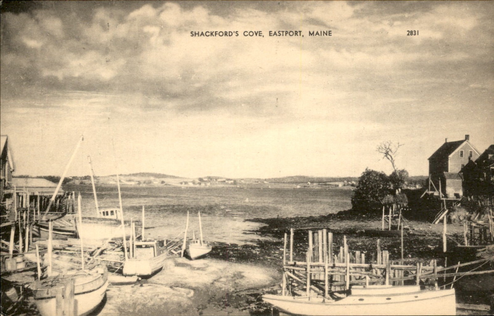 Eastport ME Shackford's Cove c1900s-10s Vintage Postcard