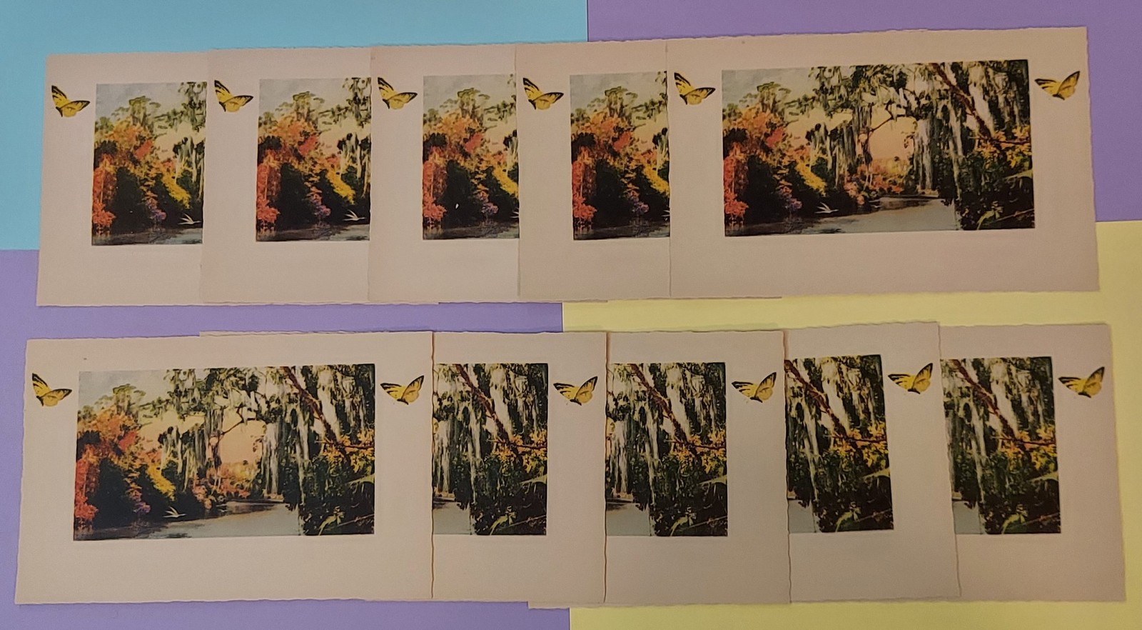 Lot 10 E G Barnhill EG Florida Postcard egret trees moss water river edge forest