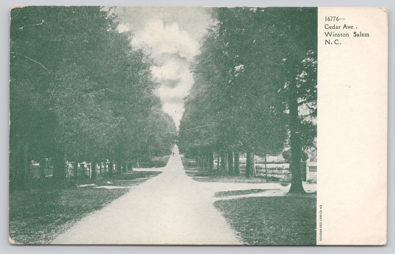 Cedar Ave Winston Salem NC Postcard c1905 Souvenir Post Card Co