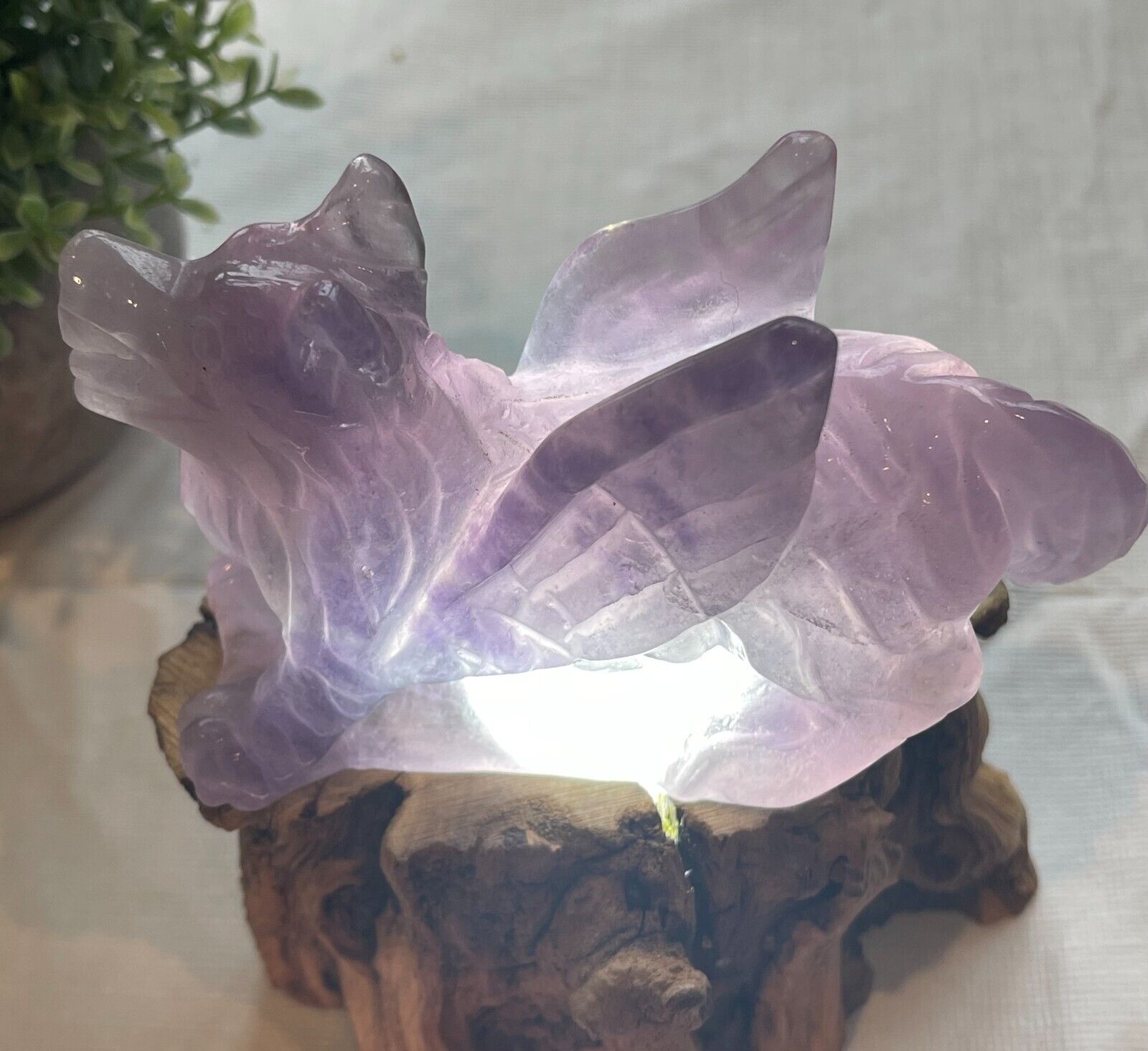 350g Natural Crystal Amethyst Angel Winged Wolf Hand-carved. Healing