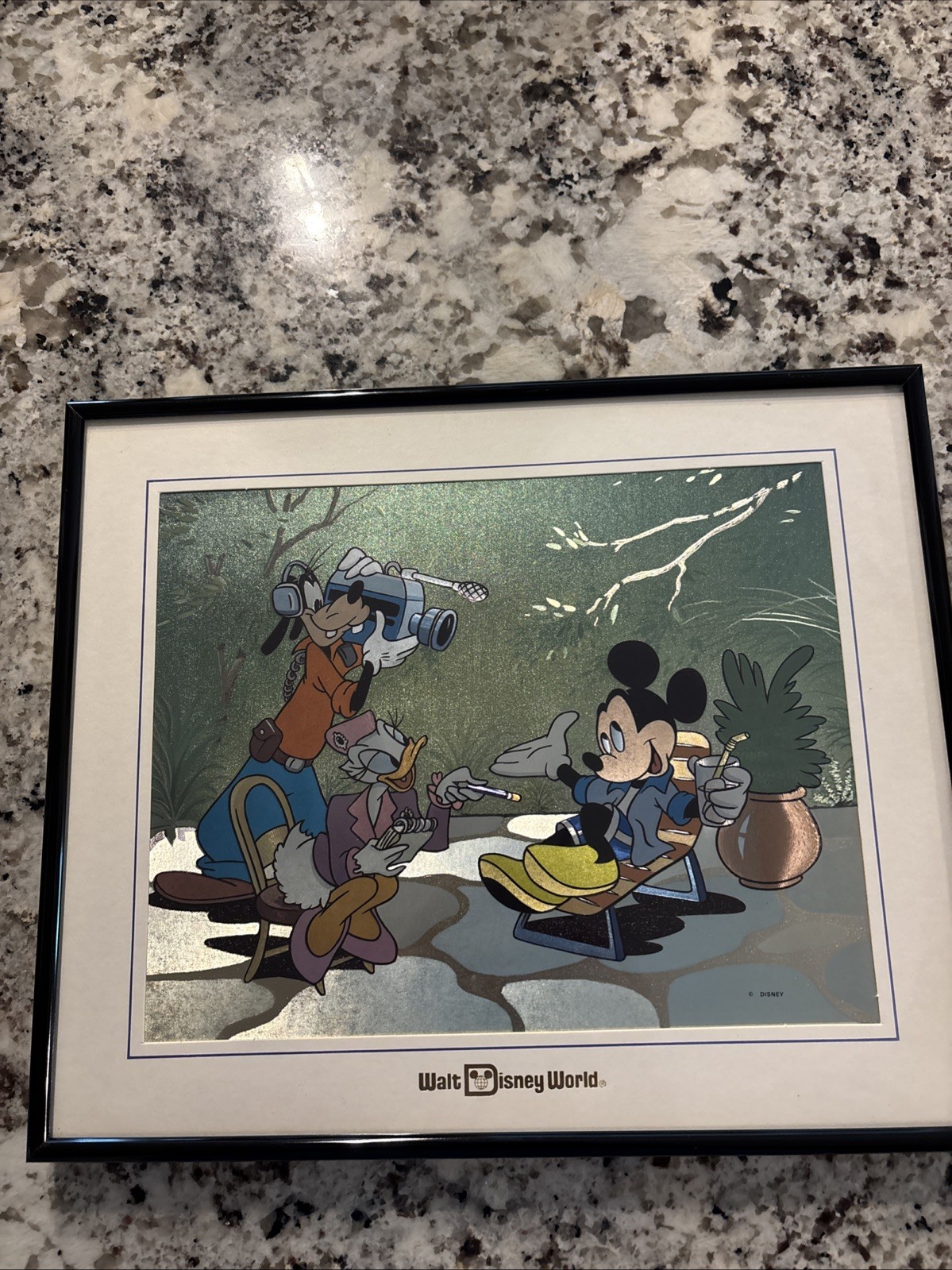Walt Disney World Art “Goofy, Daisy And Mickey” Custome Framed 