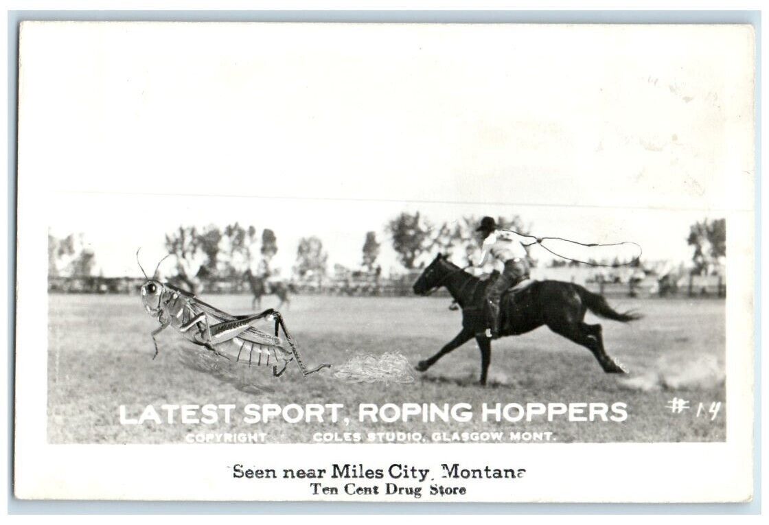 c1940's Coles Exaggerated Roping Grasshopper Horse Cowboy MT RPPC Photo Postcard