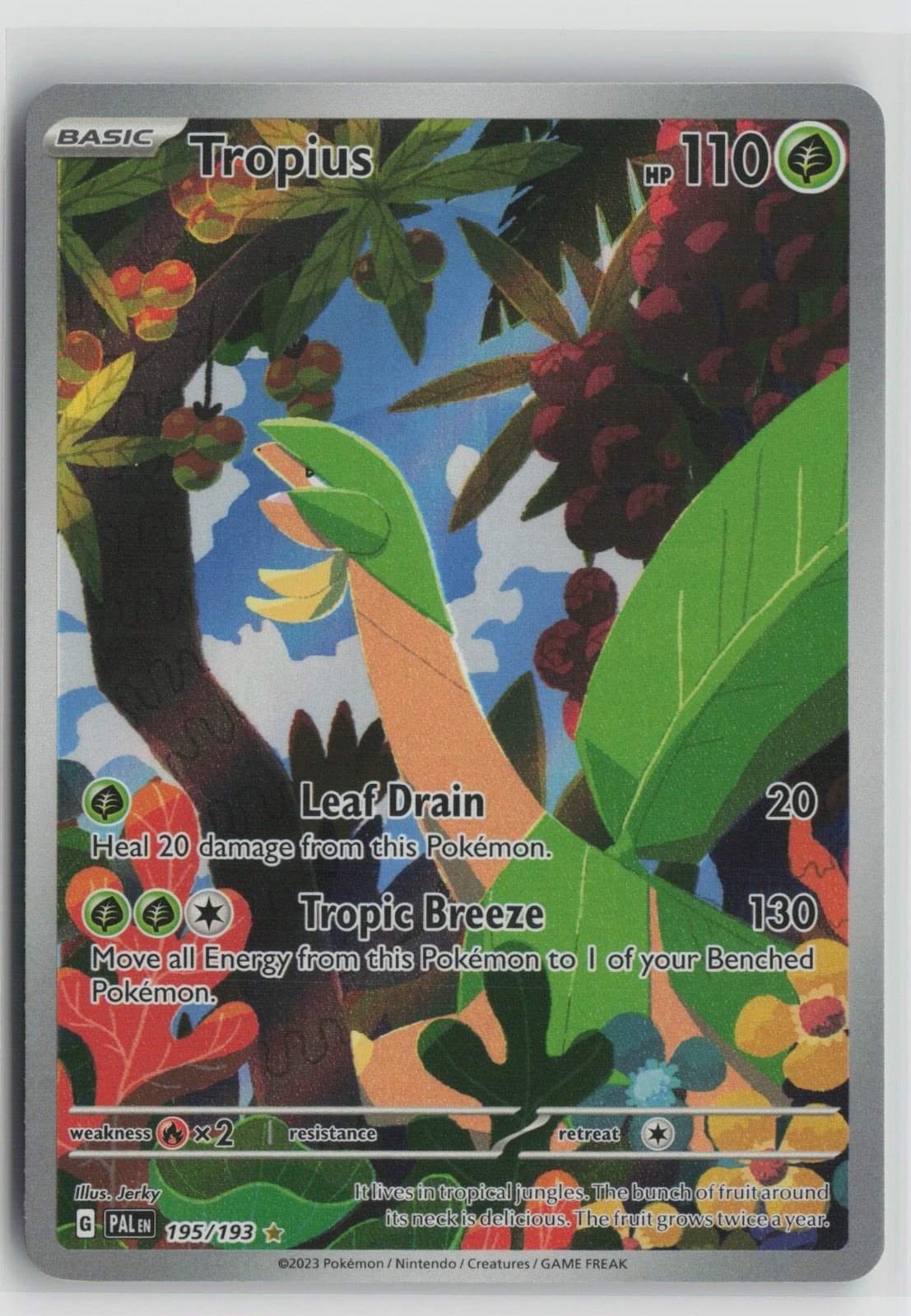 Tropius - Illustration Rare Holo PAL 195/193 NM