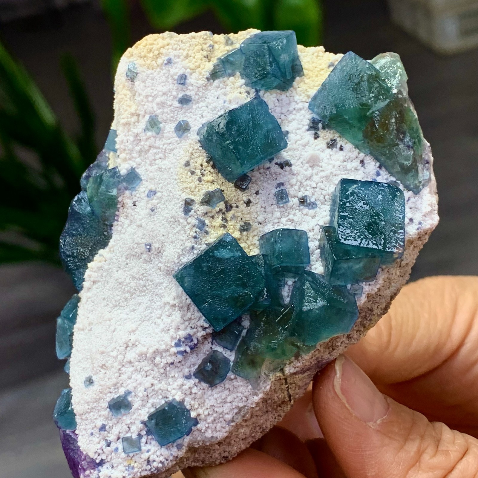 239G Natural transparent green cubic fluorite mineral crystal sample/China B545