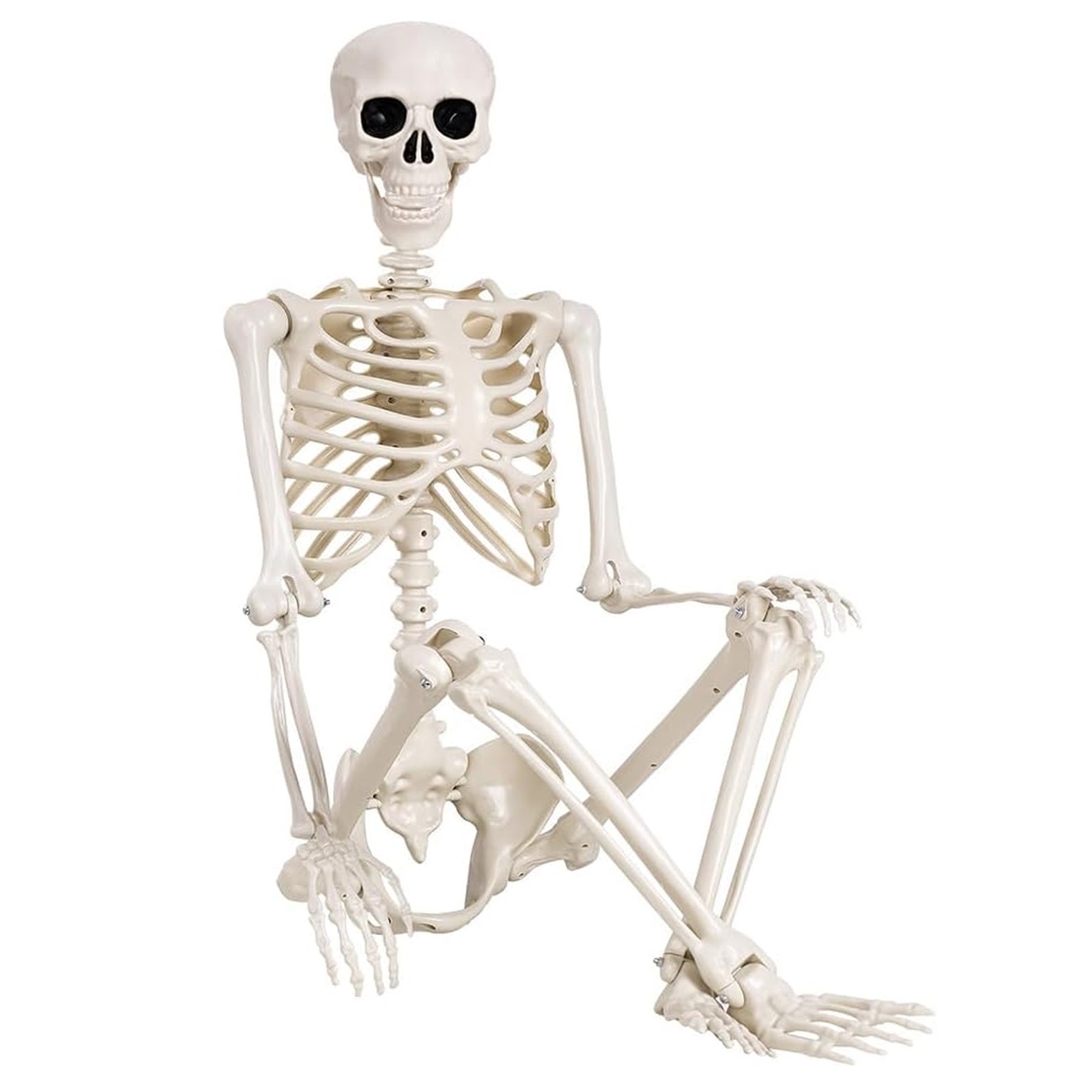 5.4ft Giant Halloween Human Skeleton Poseable Full Life Size Decor Party Prop