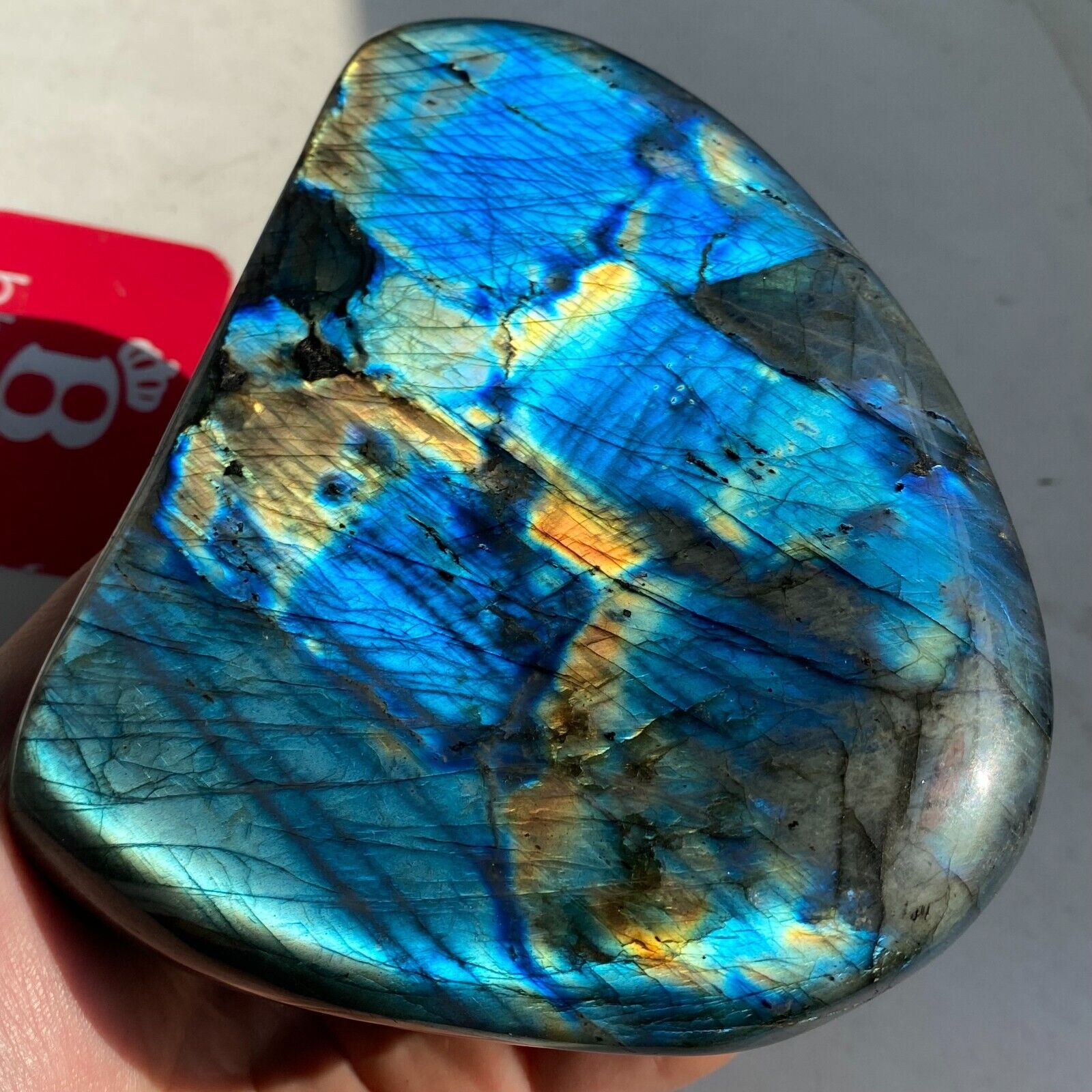 3.32LB Natural Large Labradorite Quartz Crystal Mineral Spectrolite Healing X02