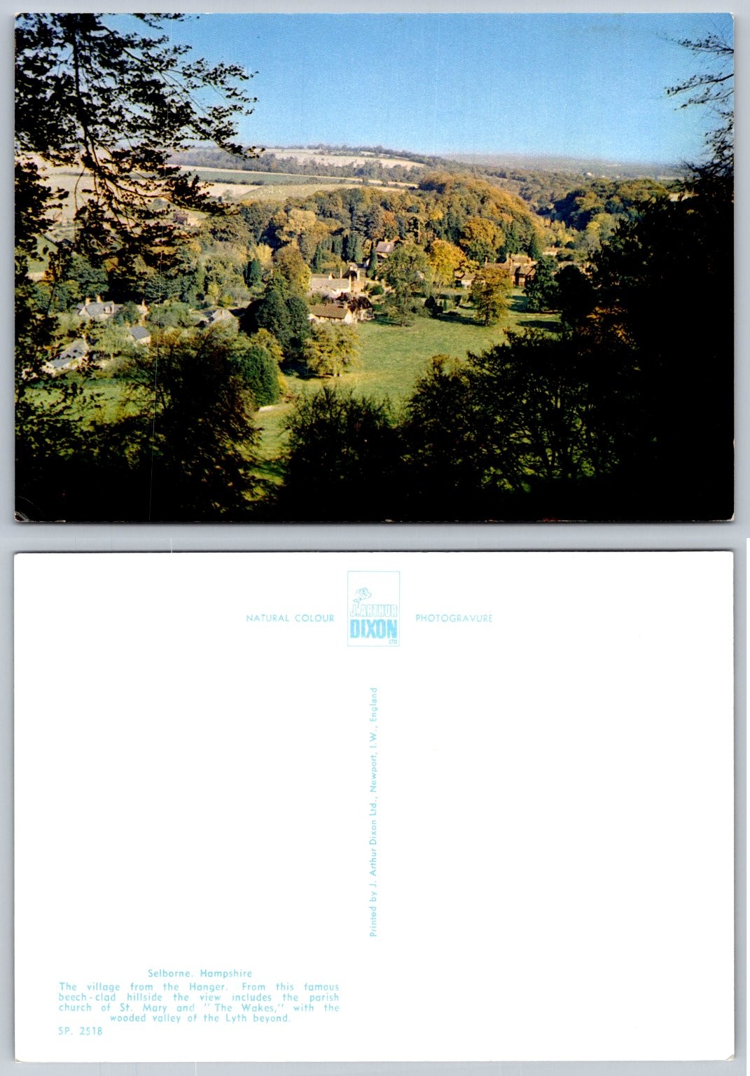 Selborne Hampshire England Village from Hanger J. Arthur Dixon Postcard