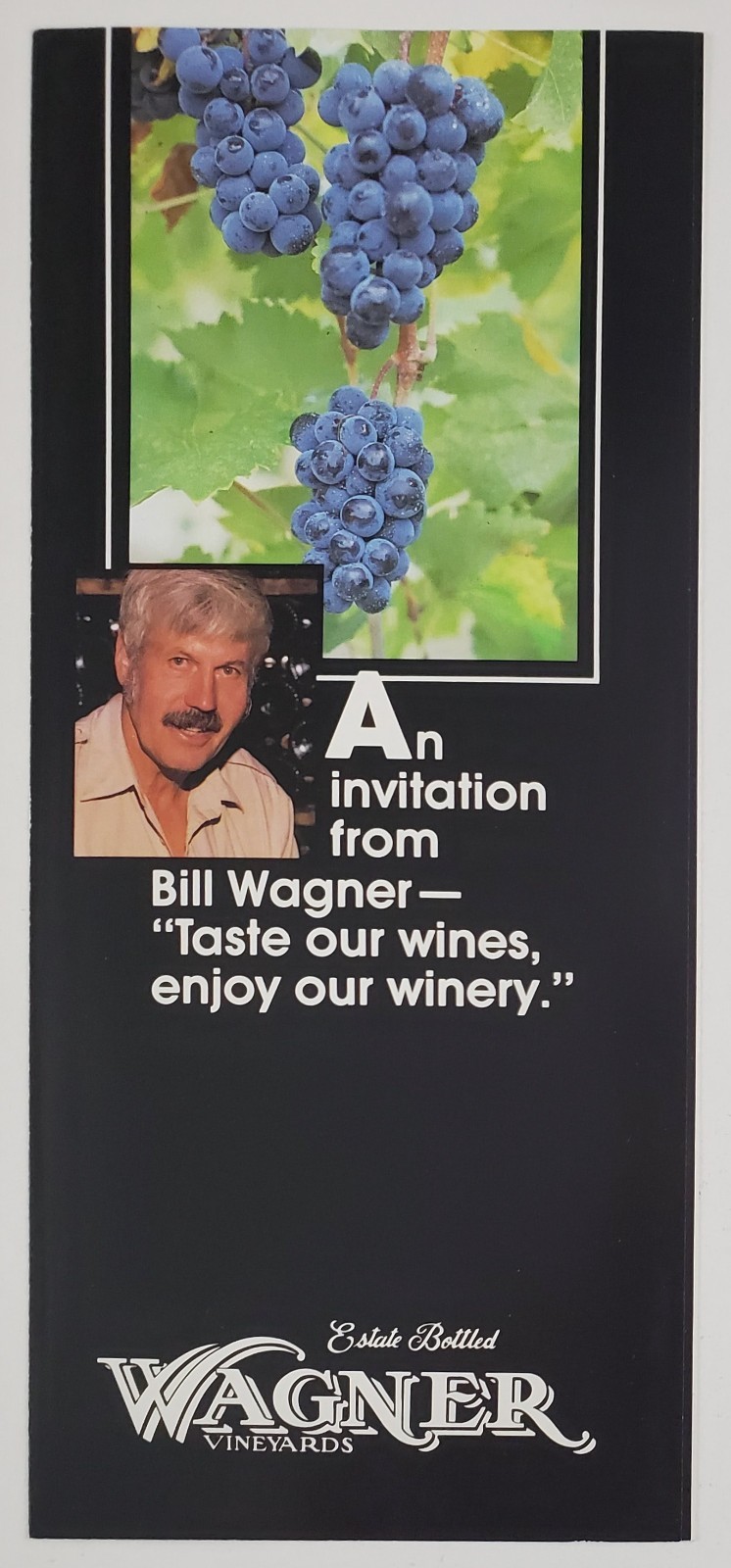 1980s Lodi NY New York Wagner Vineyards Tours Vtg Travel Brochure Wine Tasting