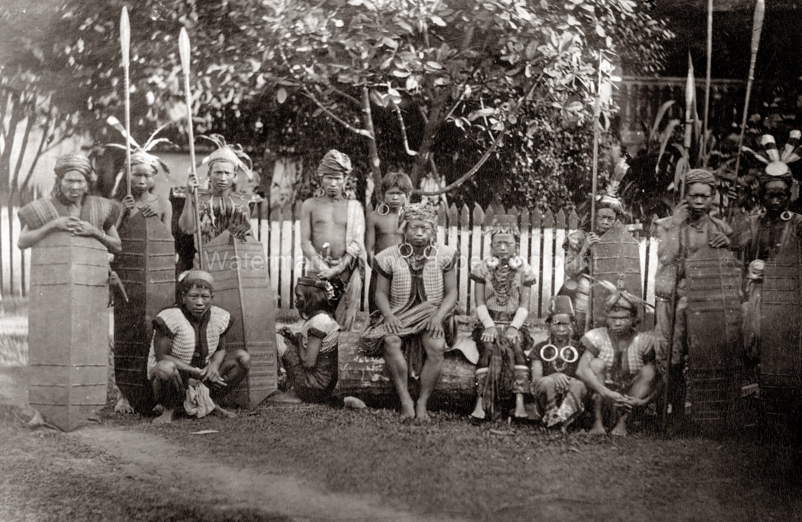 Dutch East Indies Dayak Tribe Warriors Spears & Shields Vtg. Photo 19thC.