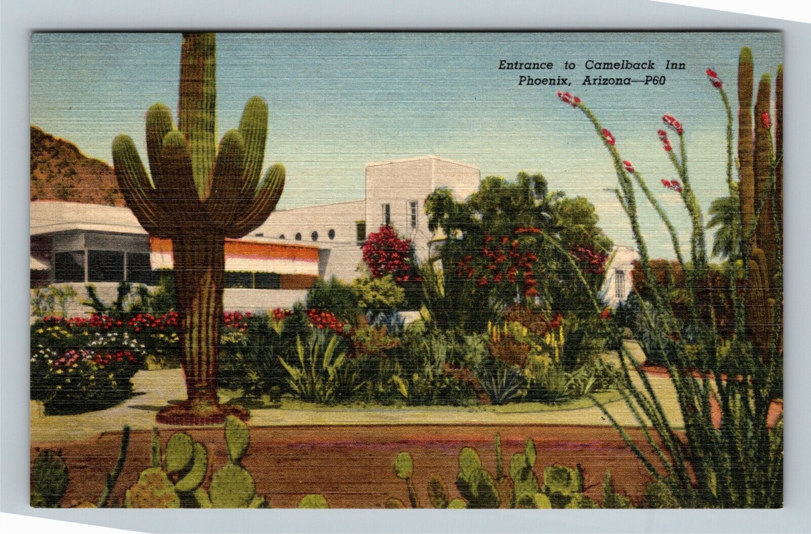 Entrance To Camelback Inn, Phoenix Arizona Vintage Postcard