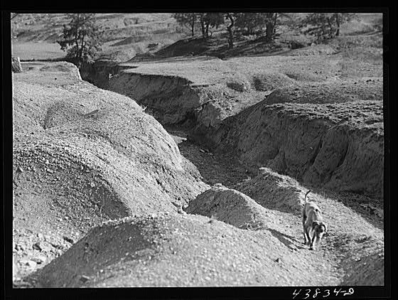 Photo:Heard County Georgia 1941 Erosion Gully Farm Land