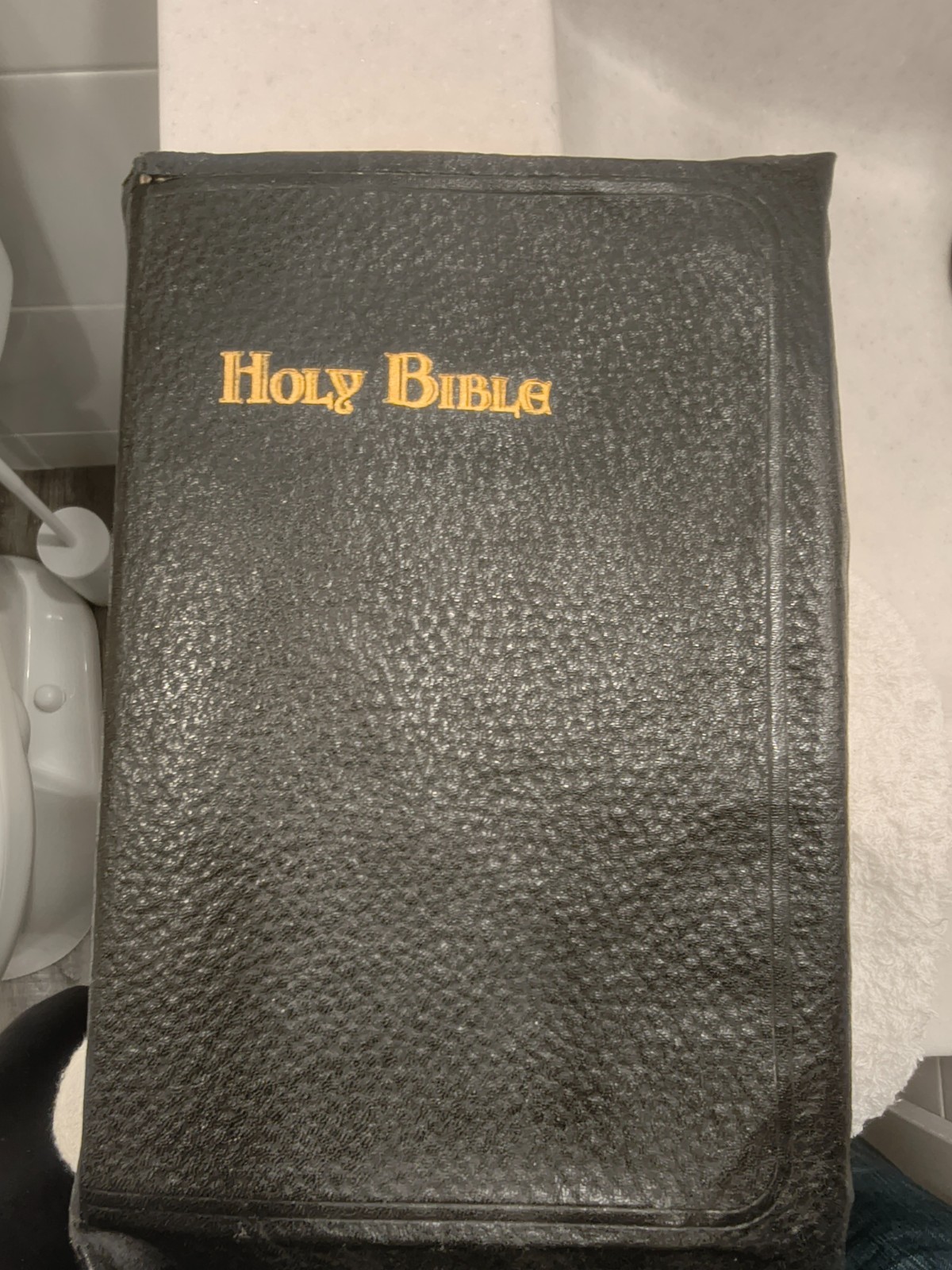 Vintage Holy Bible GOLD SEAL Home Edition National.