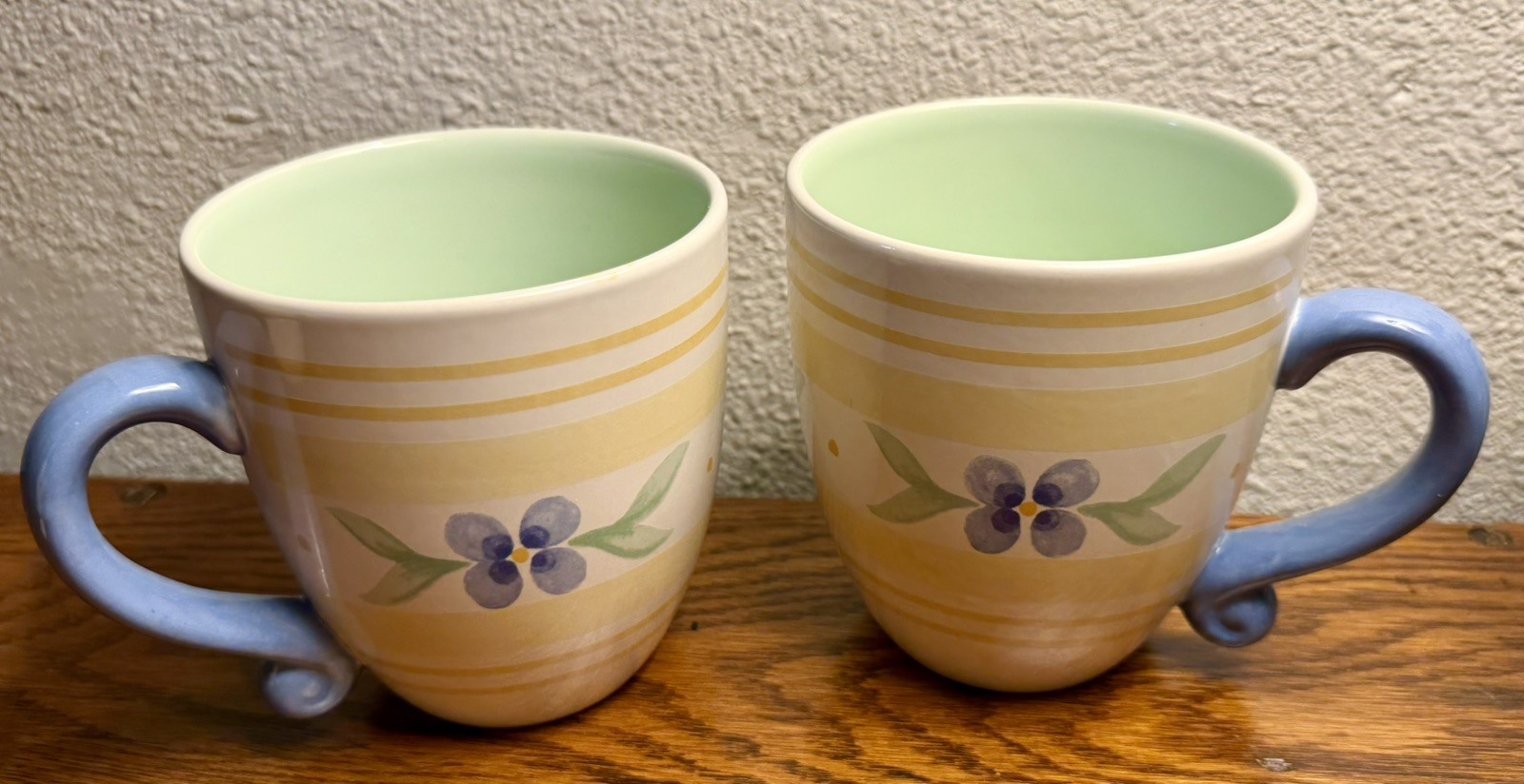 Pfaltzgraff SUMMER BREEZE 16-oz Coffee Mugs Cups -Set of 2 Excellent Condition Pfaltzgraff SUMMER BREEZE 16-oz Coffee Mugs Cups -Set of 2 Excellent Condition