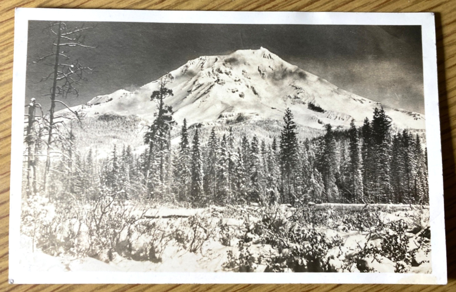 1940s RPPC Mount Shasta Vintage Real Photograph Postcard California Mountain