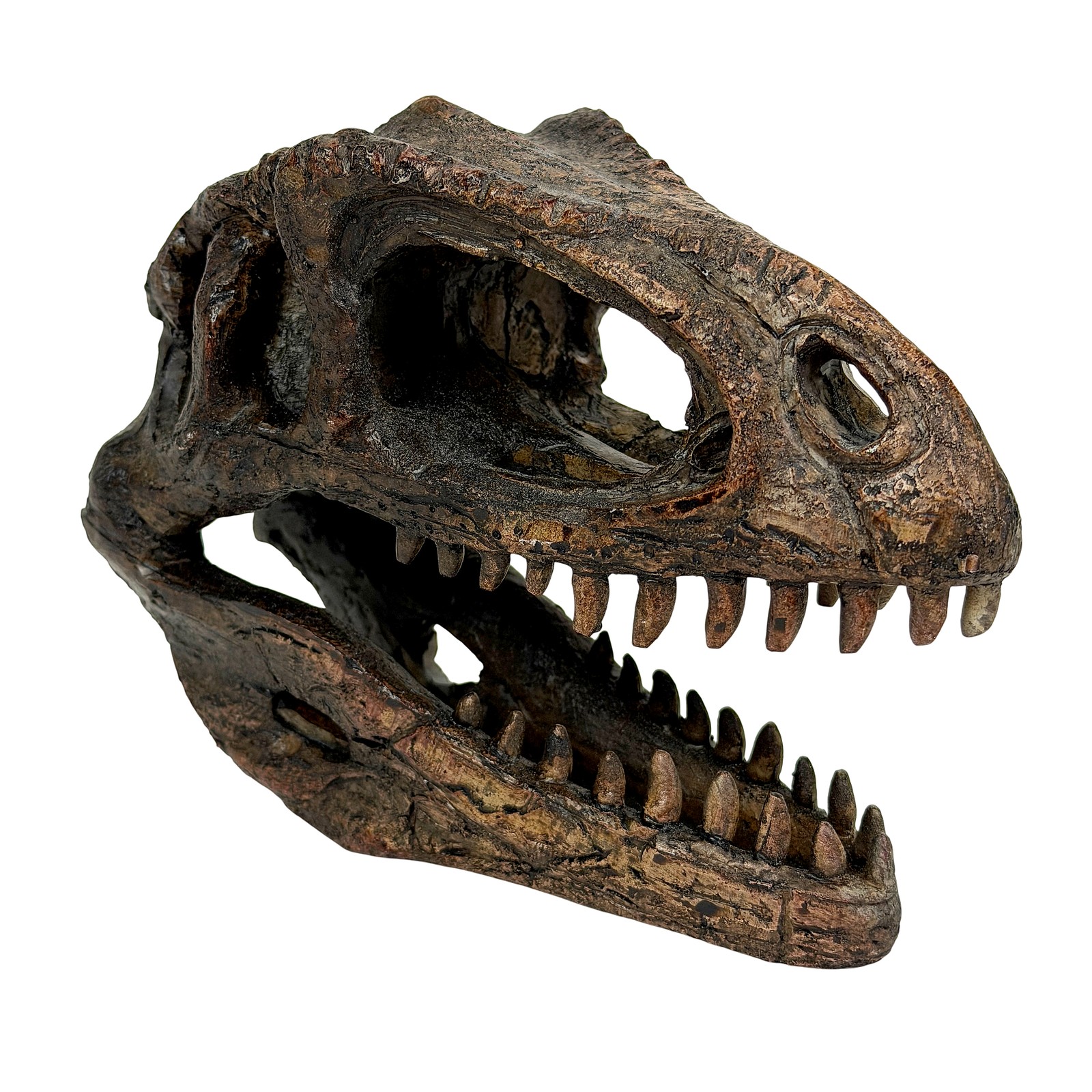 Giganotosaurus Dinosaur Statue Weathered Brown Resin 6.5 Inch Tabletop Decor