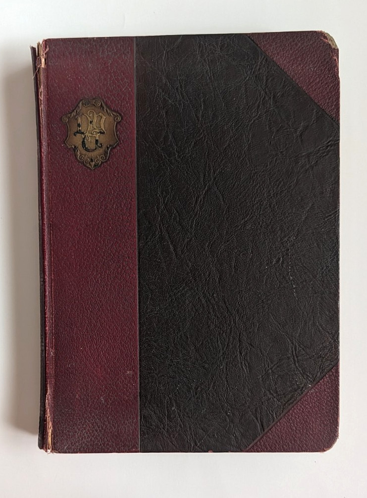 Vintage 1925 NYU New York University Violet Yearbook, Nice Graphics, Photos
