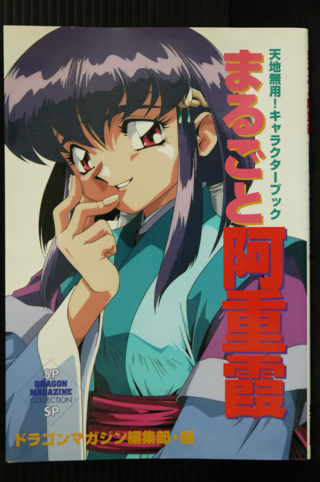 Kadokawa Tenchi Muyo Ayeka Character Book Anime Guide 1995 9784829173077 Japan