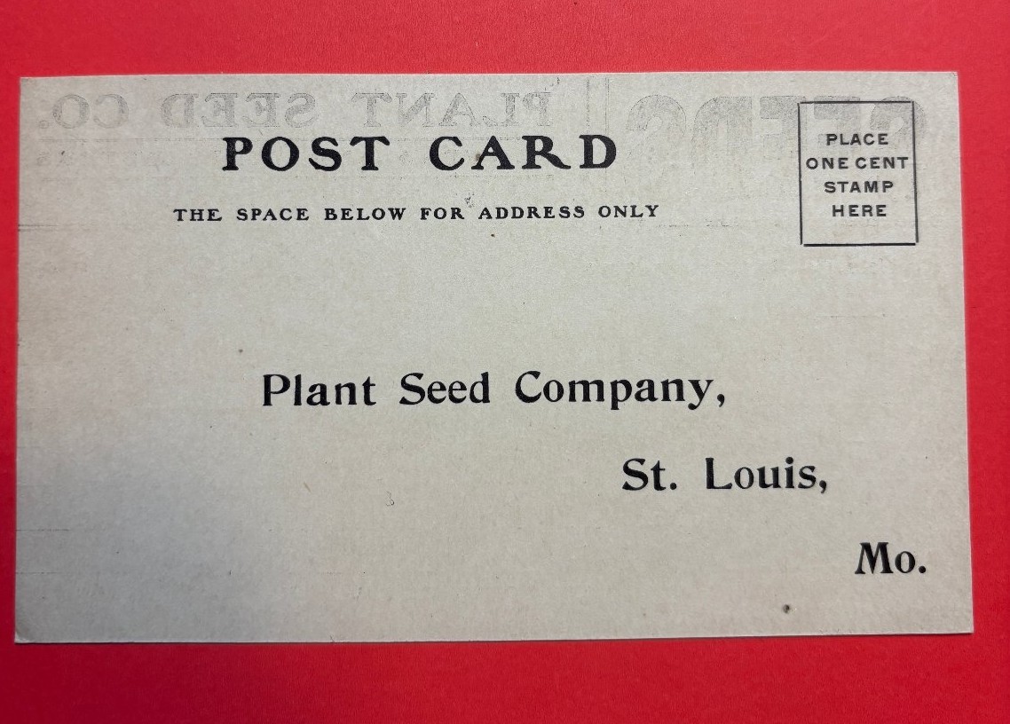 Vintage 1906 Plant Seed Co. St. Louis MO Advertising Postcard - Unposted Order