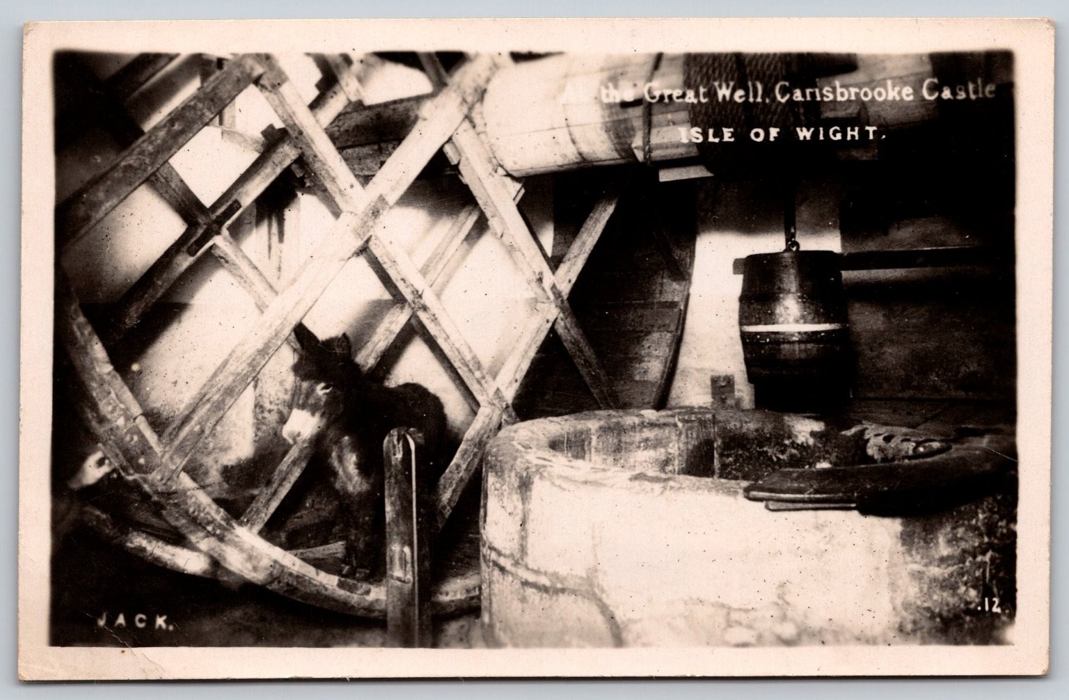 RPPC The Great Well Carisbrooke Castle Isle of Wight Donkey Jack Postcard D258