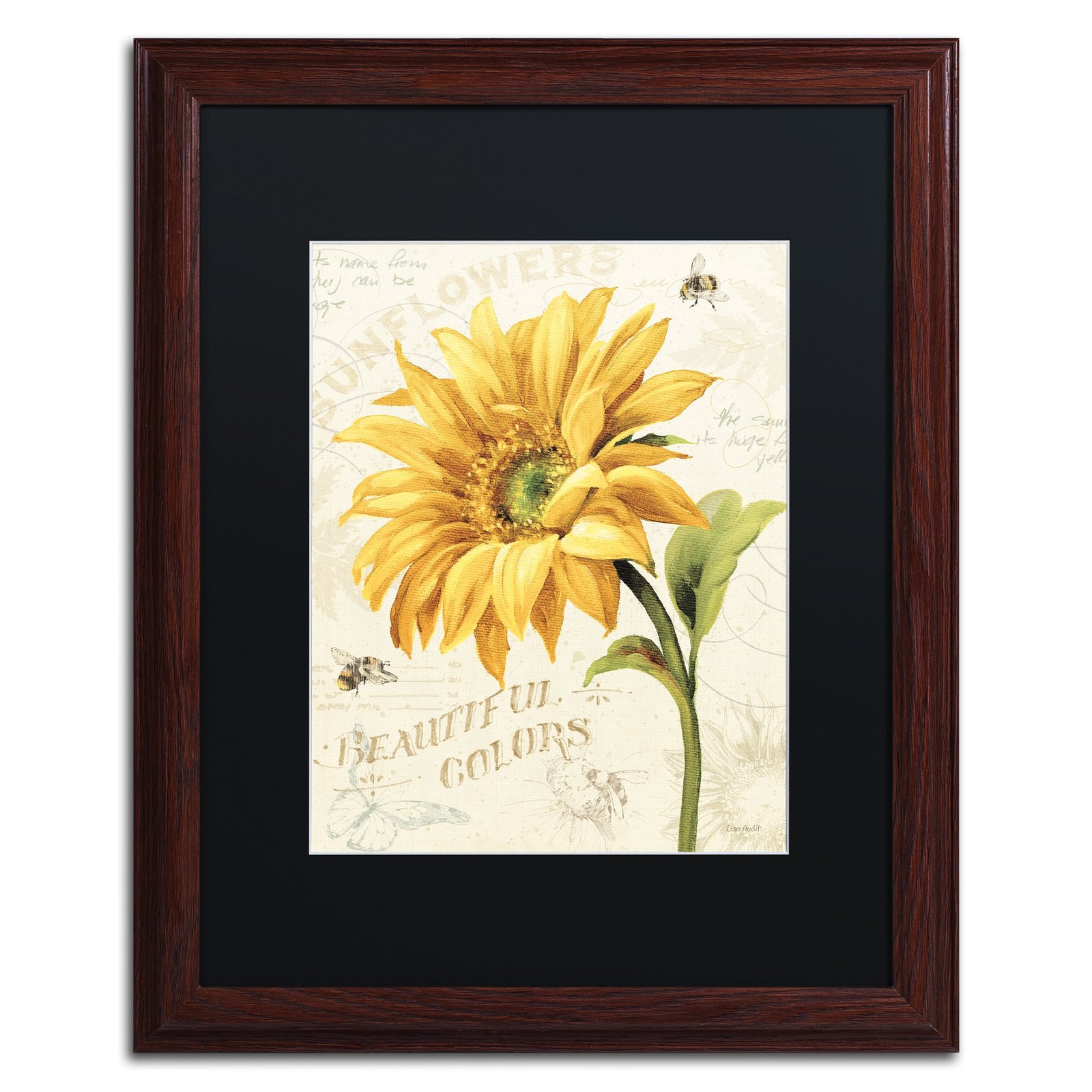 Trademark Fine Art \'Under The Sun II\' Black Wood Frame 16x20 Lisa Audit